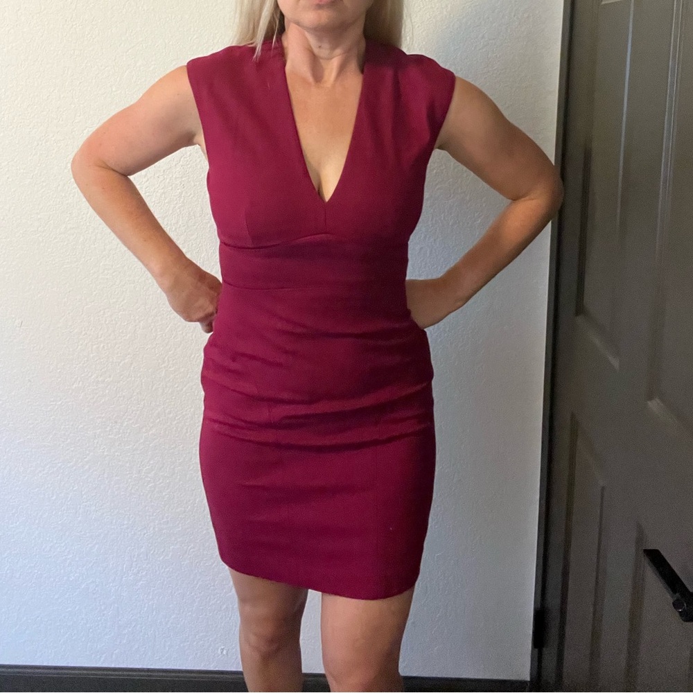 Elie Tahari berry colored v neck dress